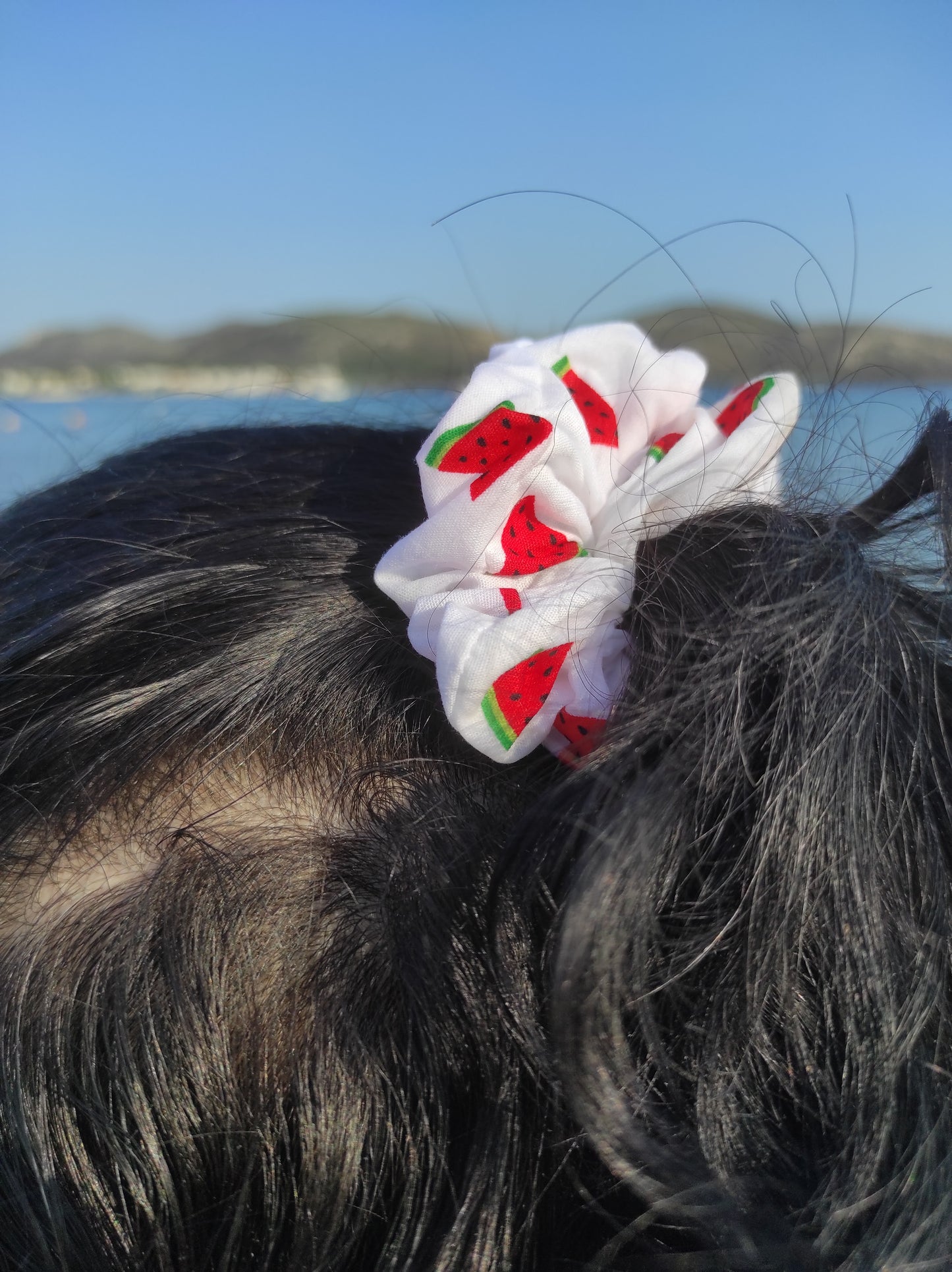 Watermelon Scrunchies
